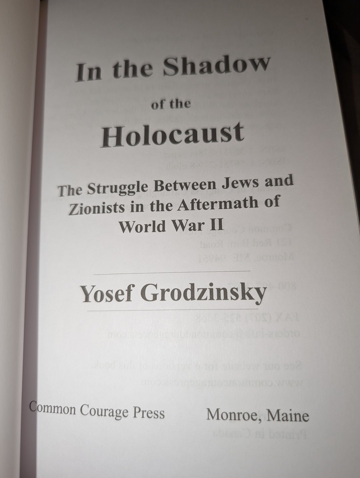 In the Shadow of the Holocaust by Yosef Grodzinsky