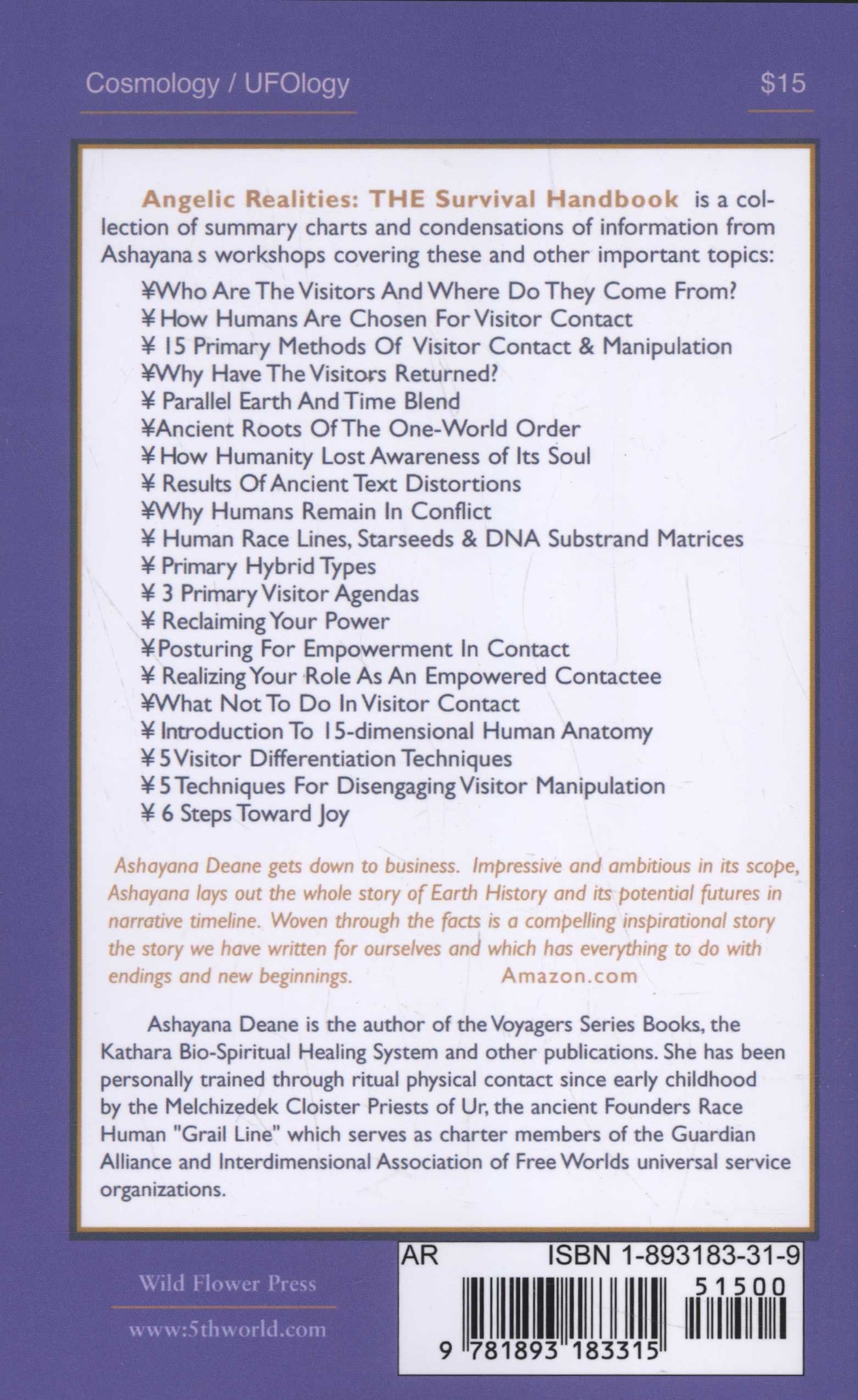 Angelic Realities The Survival Handbook by Ashayana Deane