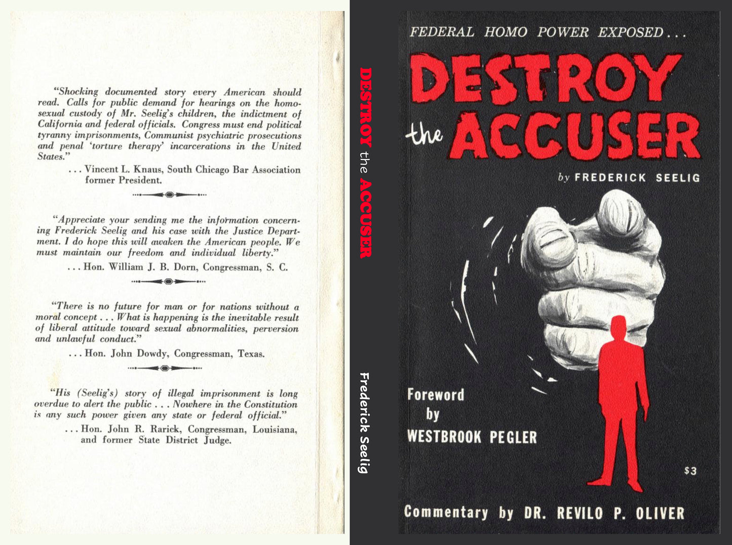 Destroy the Accuser by Frederick Seelig