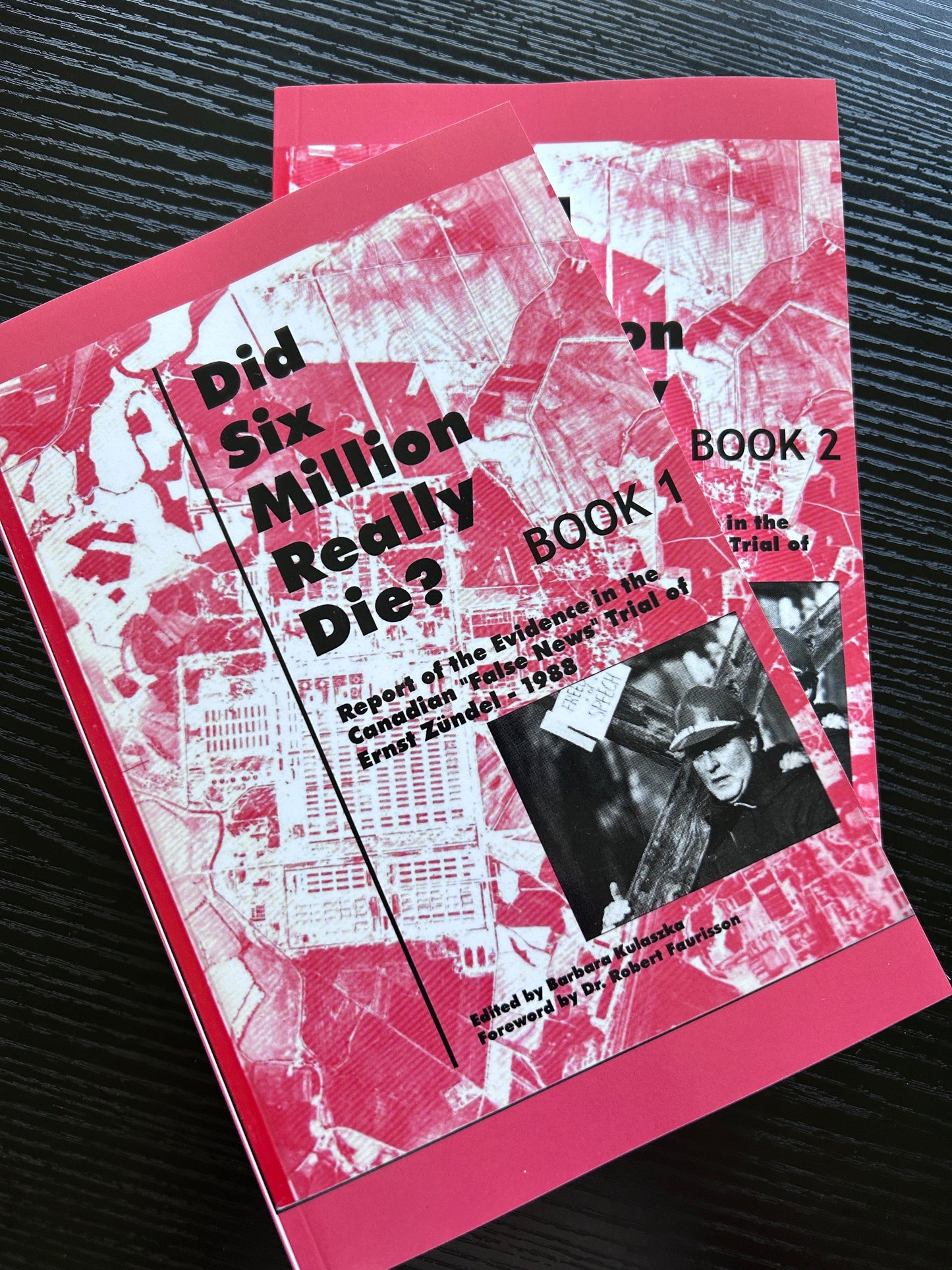 Did Six Million Really Die? by Barbara Kulaszka