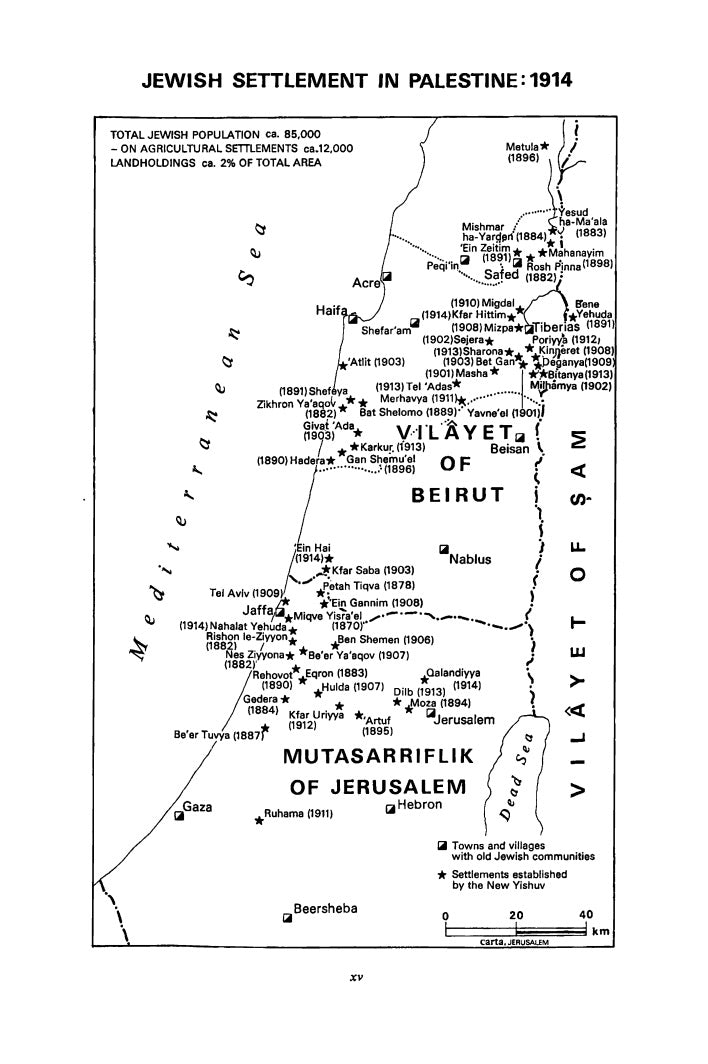 The Arabs and Zionism before World War I by Neville Mandel