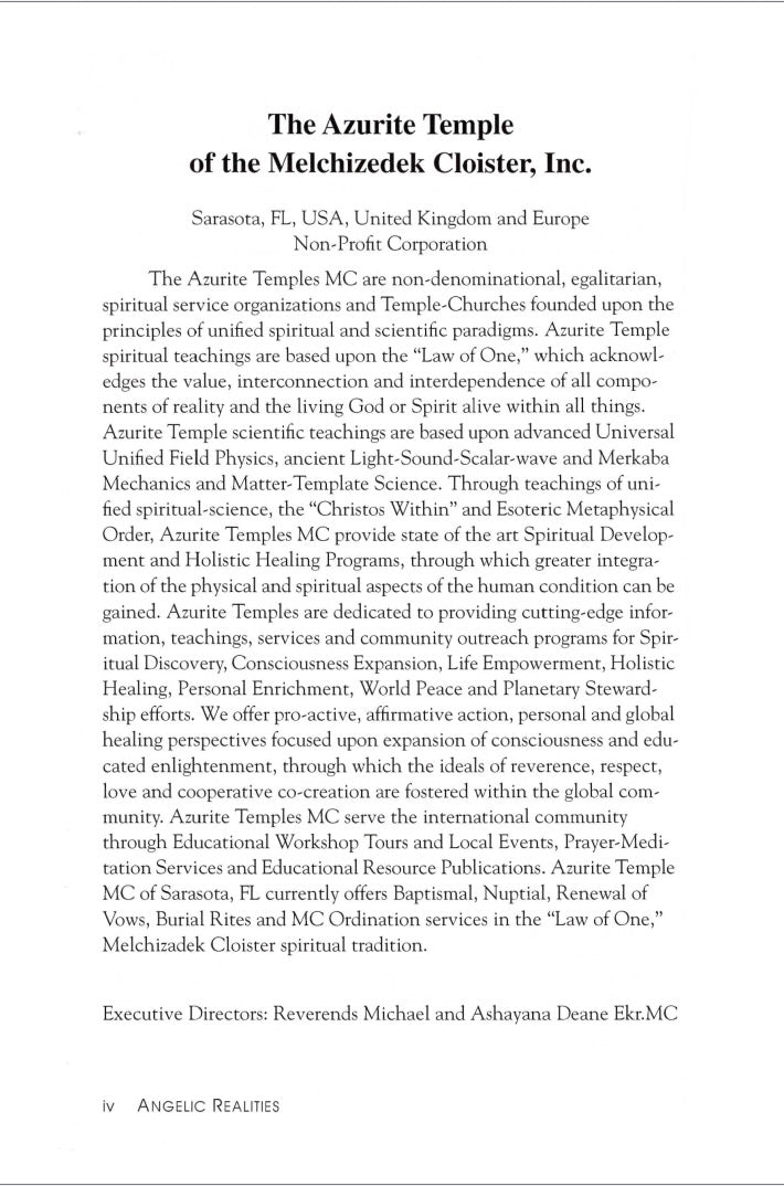 Angelic Realities The Survival Handbook by Ashayana Deane