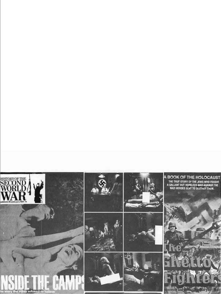 The Six Million Reconsidered by the Committee for Truth in History and William Grimstad