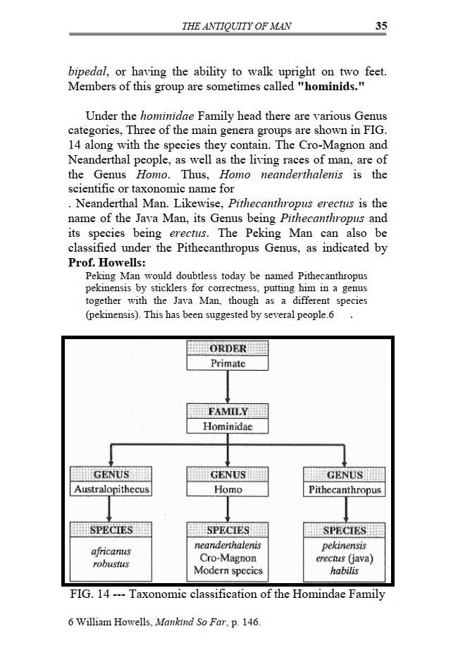 The Origin of Race and Civilization by Charles A. Weisman