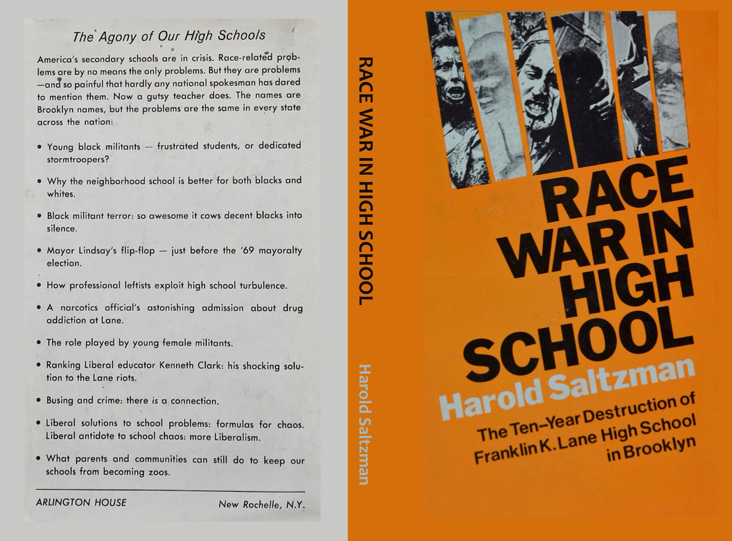 Race War in High School by Harold Saltzman