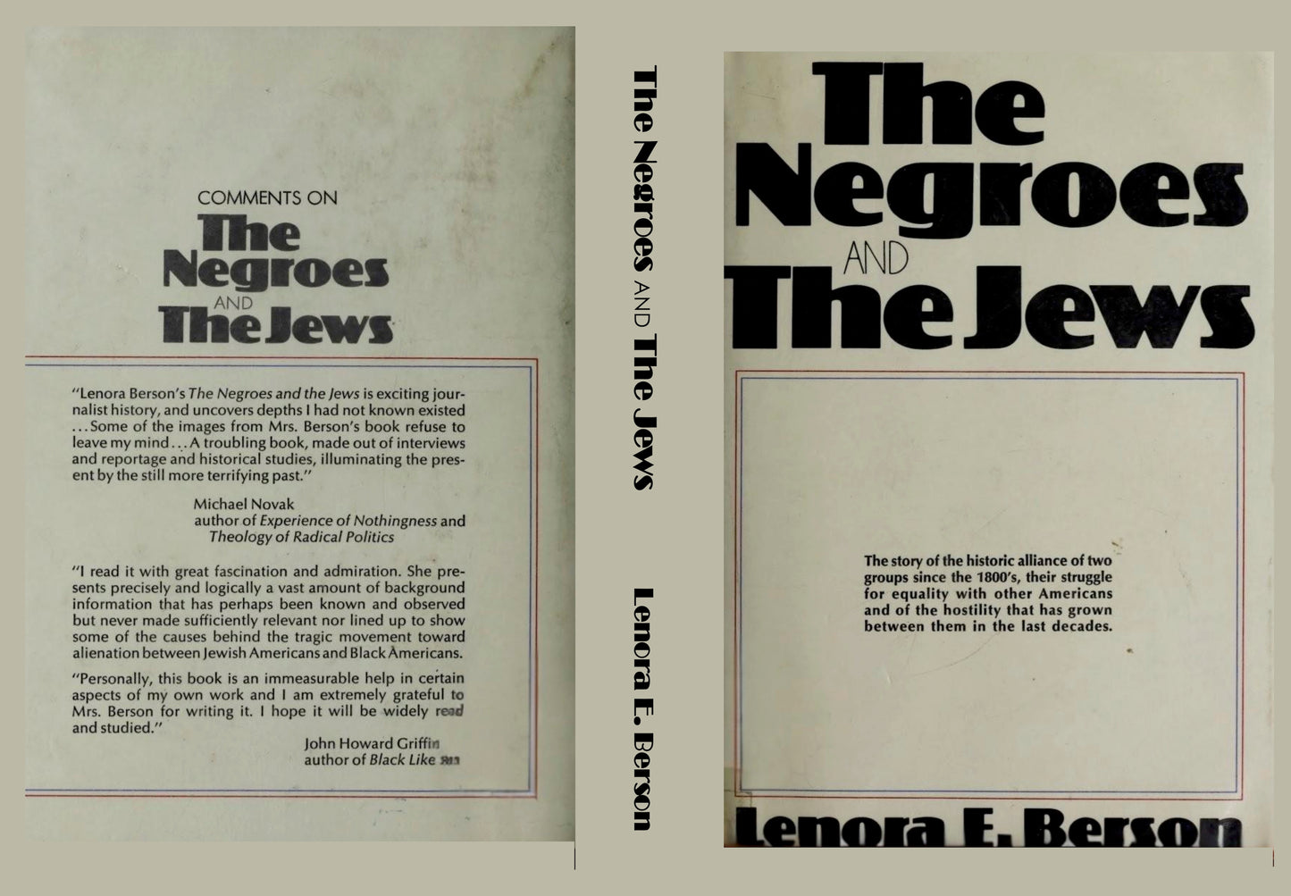 The Negroes and the Jews by Lenora Berson