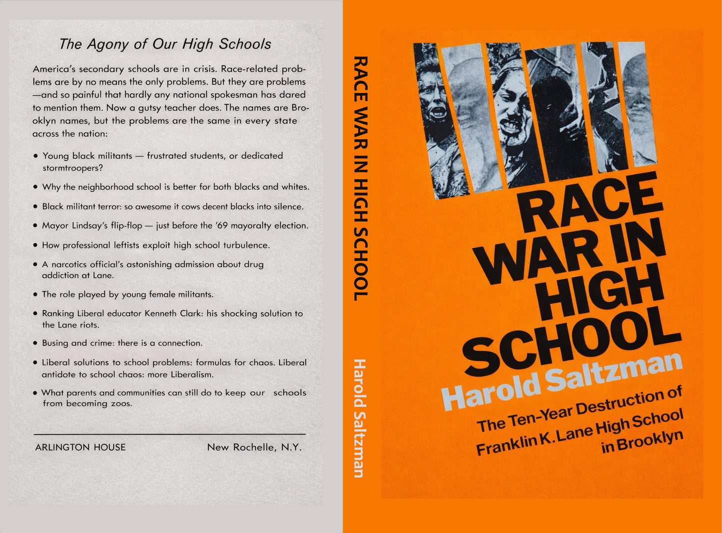 Race War in High School by Harold Saltzman