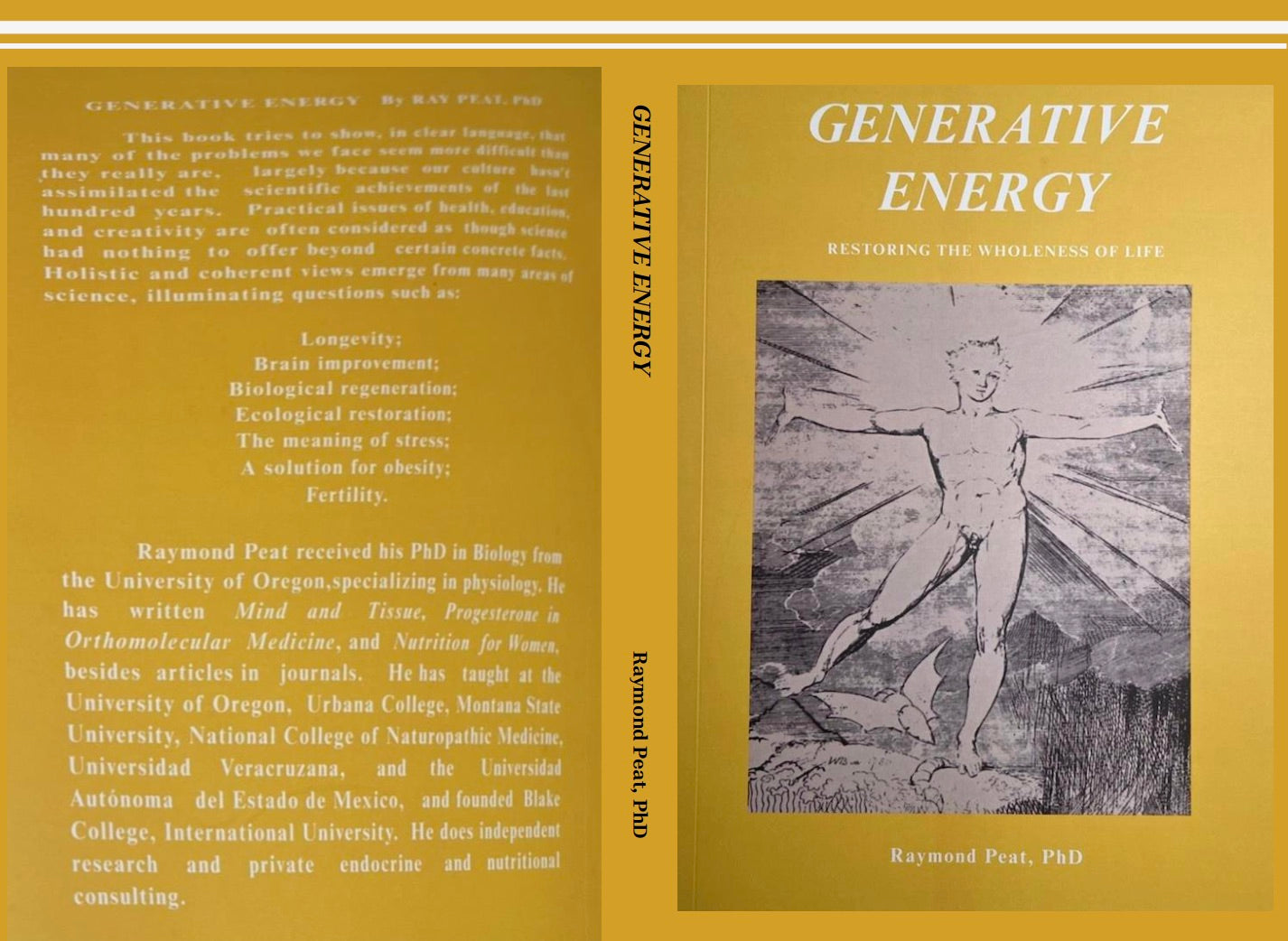 Generative Energy: Protecting and Restoring the Wholeness of Life by Ray Peat