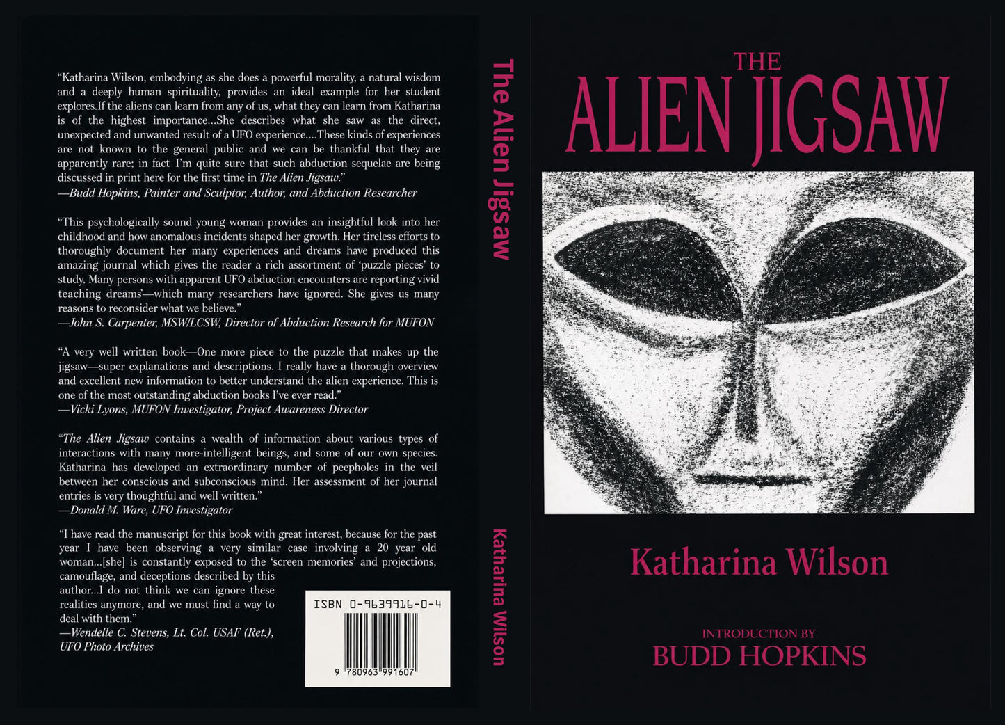 The Alien Jigsaw by Katharina Wilson