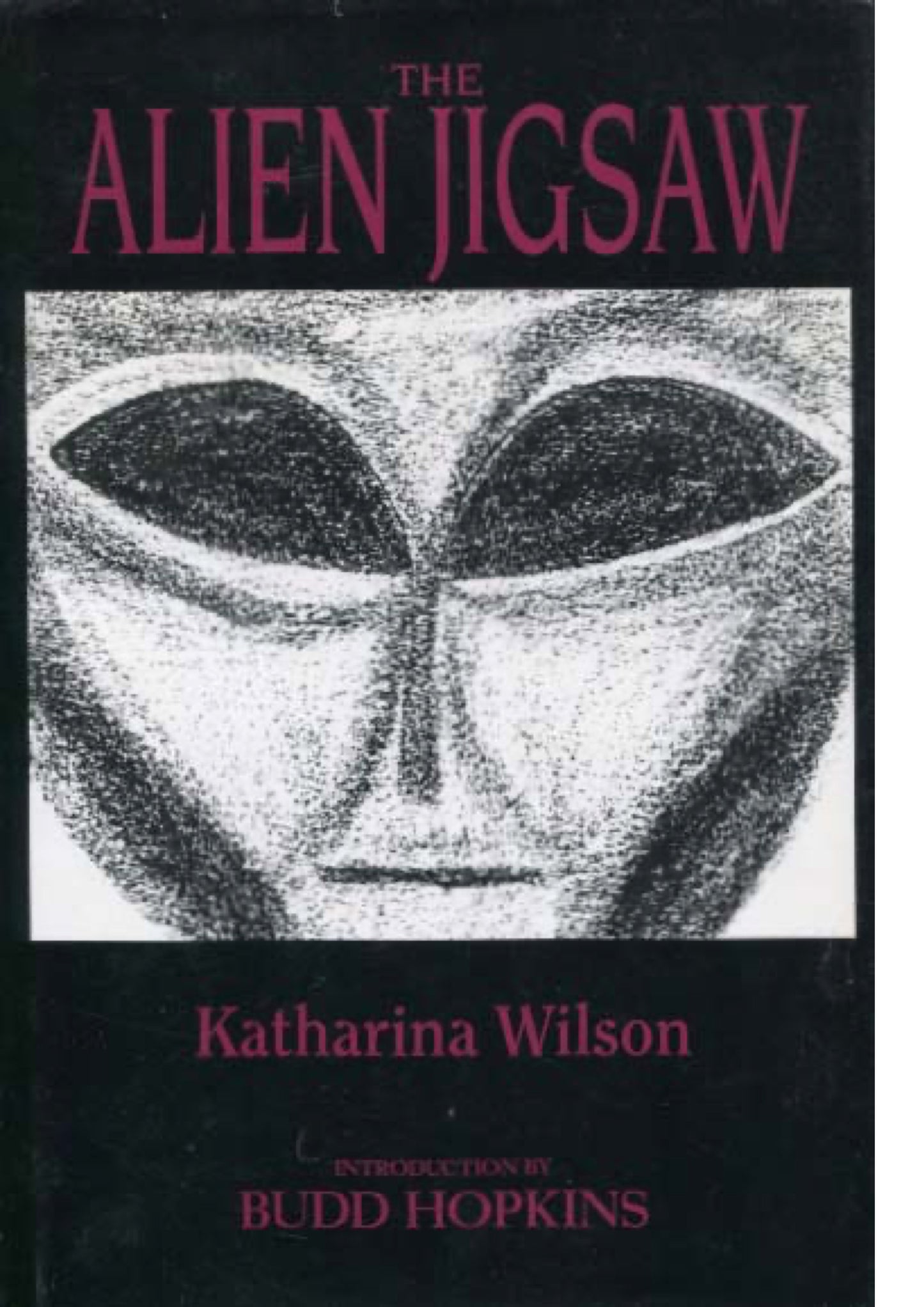 The Alien Jigsaw by Katharina Wilson