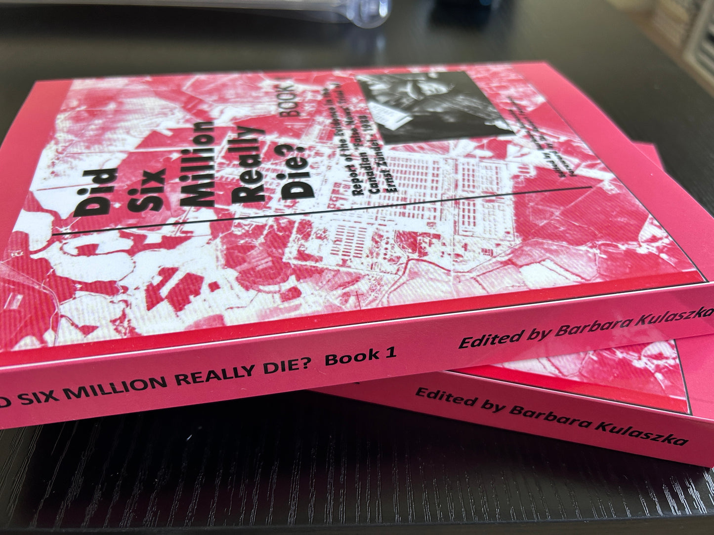 Did Six Million Really Die? by Barbara Kulaszka