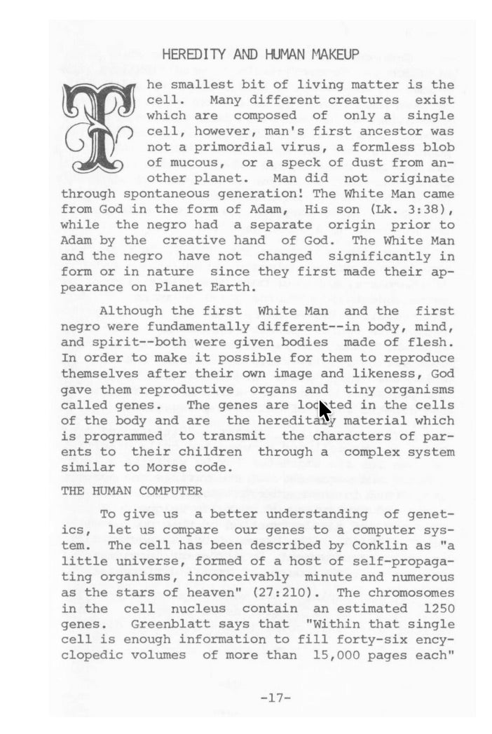 Racial Hybridity by Philip Jones