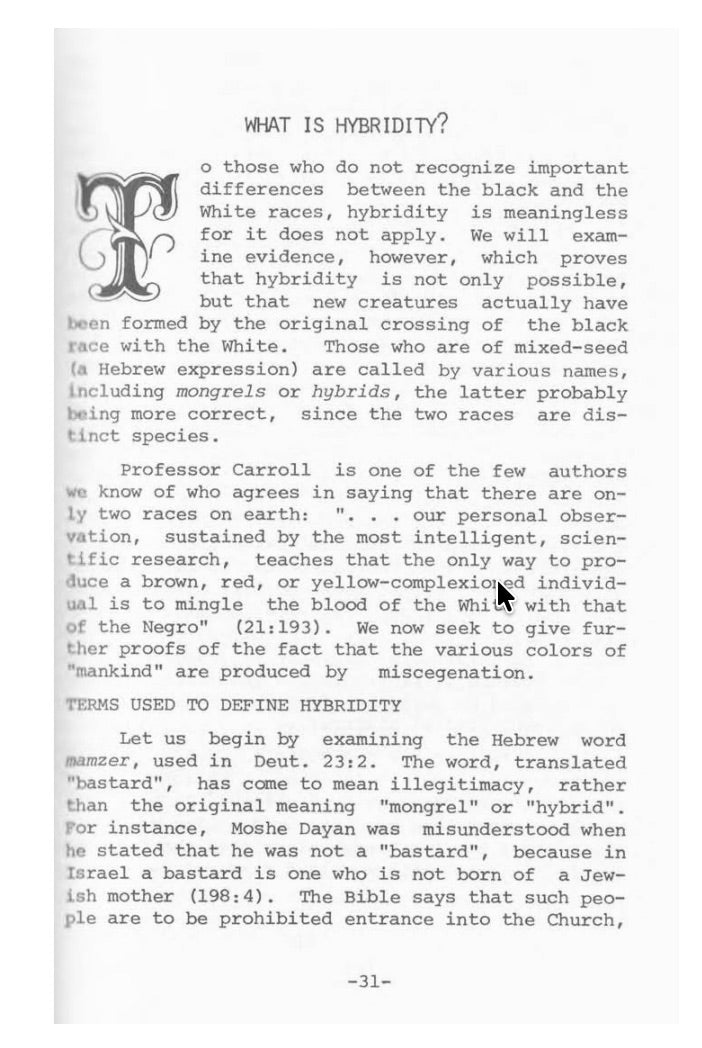 Racial Hybridity by Philip Jones