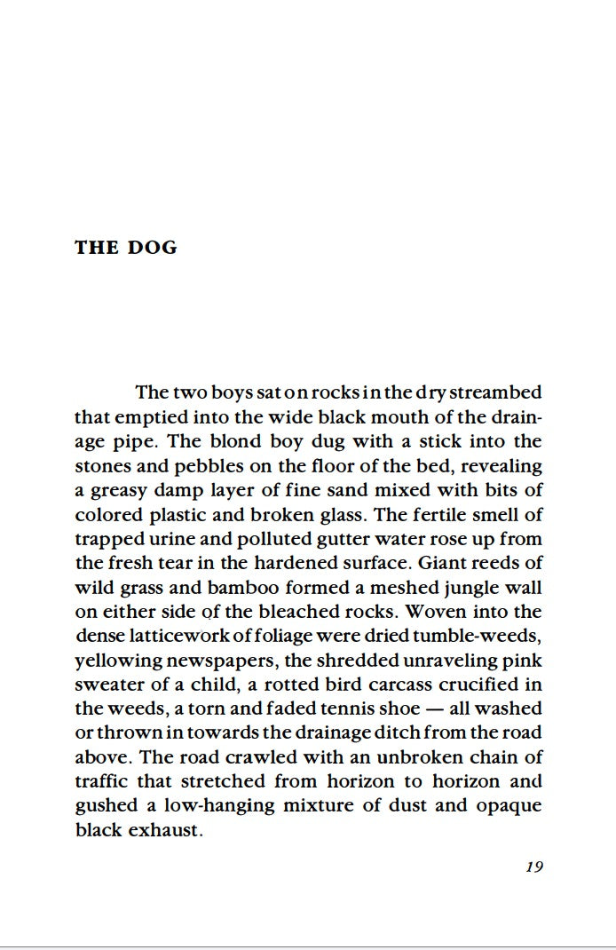 The Consumer by Michael Gira