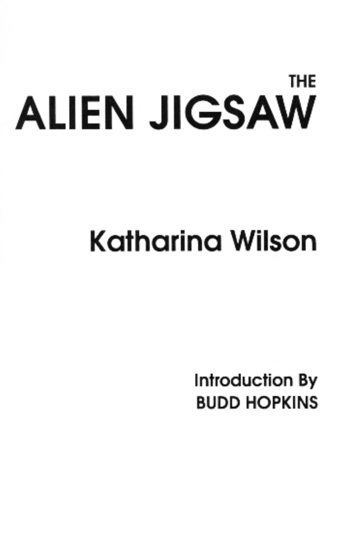 The Alien Jigsaw by Katharina Wilson