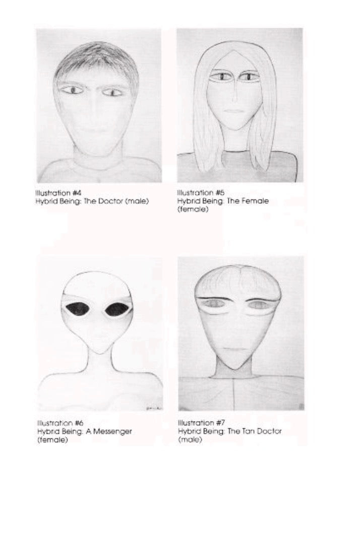 The Alien Jigsaw by Katharina Wilson