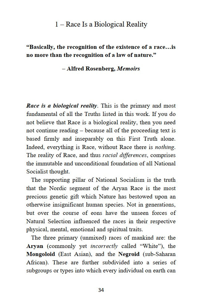 National Socialism by Kristof Von Kanwetzburg